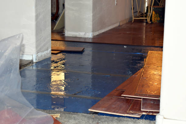 Professional Water Extraction technician working in Williamsfield, OH